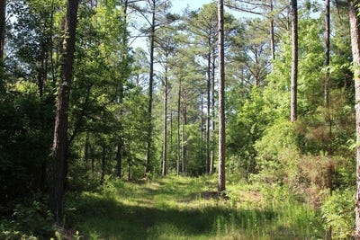 /international/us/hayes-mill-connector-notasulga-al-110108144265/