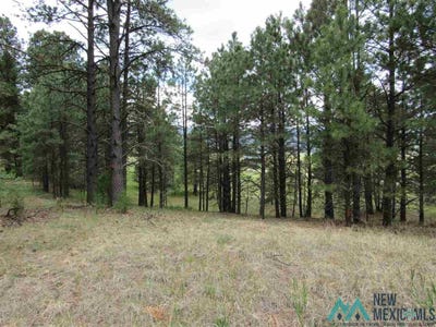/international/us/1-2-chapel-rd-cr-a34-road-rociada-nm-110088201179/
