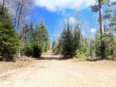 /international/us/480-acres-off-cr-aaa-road-michigamme-mi-110091911861/