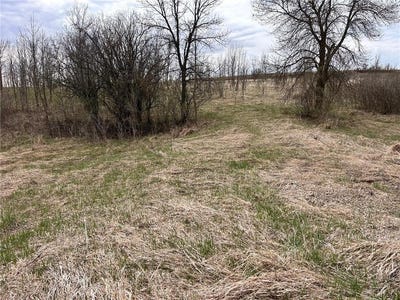/international/us/lot-20-215th-street-barrett-mn-110107694124/