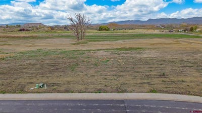 /international/us/tbd-lot-17-apple-grove-street-montrose-co-110120417893/