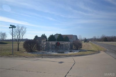 /international/us/4132-summer-oak-drive-smithton-il-110085567019/