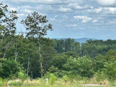 /international/us/lt-95-timberline-trail-ellijay-ga-110100975377/?lang=zh-tw