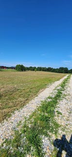 /international/us/0-hester-ridge-road-wallingford-ky-110109031317/