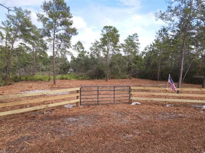/international/us/kentucky-street-paisley-fl-110102761093/