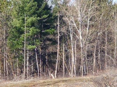 /international/us/292nd-street-wilson-wi-110098548206/