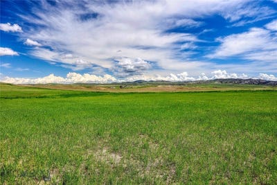 /international/us/horizon-loop-lot-12-three-forks-mt-110096660772/