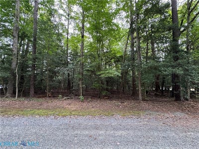 /international/us/lake-drive-lancaster-va-110120484664/