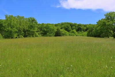 /international/us/25-78-acres-mcdonald-ferry-road-frankfort-ky-110100797416/?lang=zh-cn