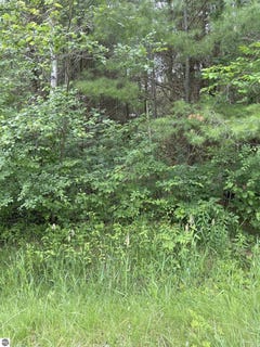 /international/us/v-l-radov-road-gladwin-mi-110100318269/?lang=zh-cn