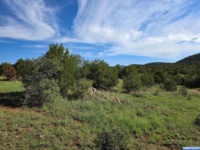 /international/us/37-x3-black-dog-road-silver-city-nm-110110272312/