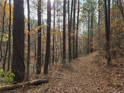 /international/us/cedar-branch-hattieville-ar-110103719370/