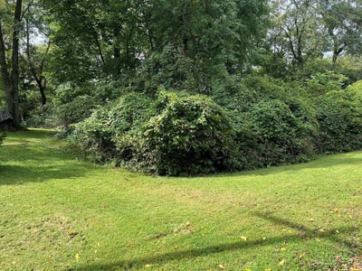 /international/us/68-kurrley-street-delaware-oh-110119932534/