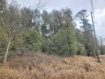 /international/us/1-pleasant-hill-road-gilbertown-al-110106478272/