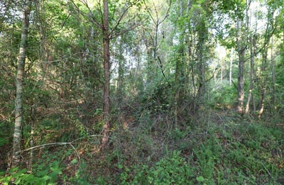 /international/us/0-kings-mill-road-tract-f-wrens-ga-110100300867/?lang=es