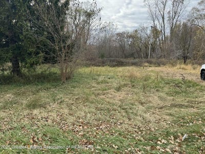 /international/us/1463-n-onondaga-road-holt-mi-110104051335/