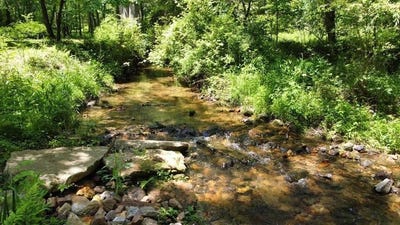 /international/us/tract-1-timber-ridge-road-blairsville-ga-110108449344/