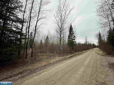 /international/us/10801-town-road-69-gheen-mn-110107585557/