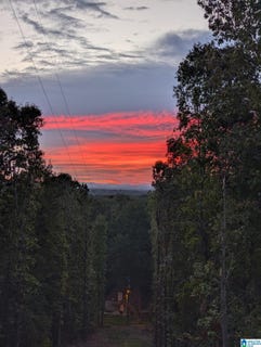 /international/us/345-county-road-467-vincent-al-110107831784/