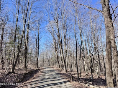 /international/us/l22-ryan-road-greenwich-ny-110098308038/
