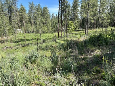 /international/us/1181-1179-fumi-cir-kettle-falls-wa-110105046758/