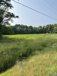 /international/us/tract-27-hays-mill-road-elkmont-al-110089436106/