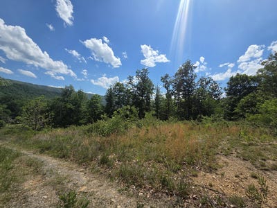 /international/us/seneca-trl-s-peterstown-wv-110108279776/