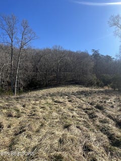 /international/us/0-w-brushy-valley-drive-powell-tn-110097067590/