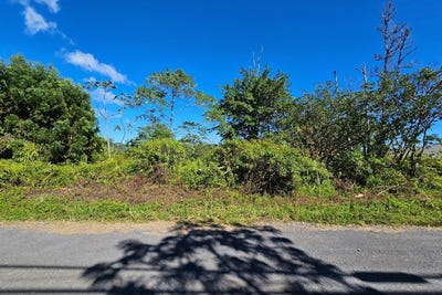 /international/us/37th-ave-kurtistown-hi-110106301624/