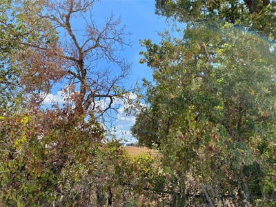 /international/us/915-county-road-226-rising-star-tx-110103233823/