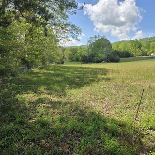 /international/us/flatwoods-road-elliston-va-110107476465/