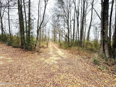 /international/us/sidney-ellzey-road-tylertown-ms-110105865031/
