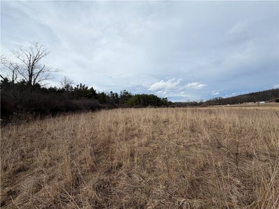 /international/us/decamp-lane-tyrone-ny-110106315014/