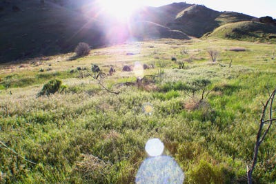 /international/us/000-south-5th-ave-pocatello-id-110090438193/