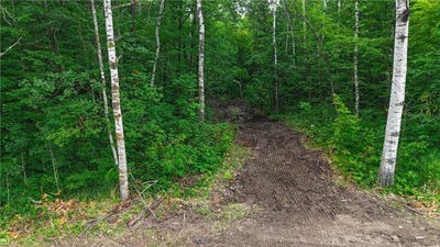 /international/us/lot-12-cr-30-crosby-mn-110098978550/