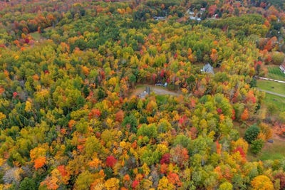 /international/us/640-york-road-hermon-me-110120712527/