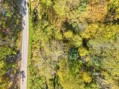 /international/us/brown-bear-hollow-road-northfork-wv-110108715043/