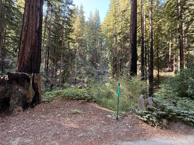 /international/us/449-band-rd-boulder-creek-ca-110102976511/