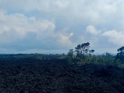 /international/us/palm-pkwy-ocean-view-hi-110106008670/