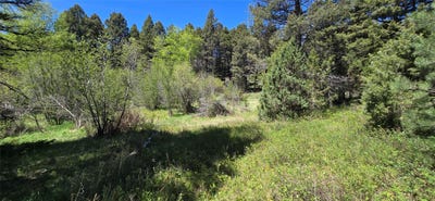 /international/us/powerline-road-boulder-mt-110108378215/