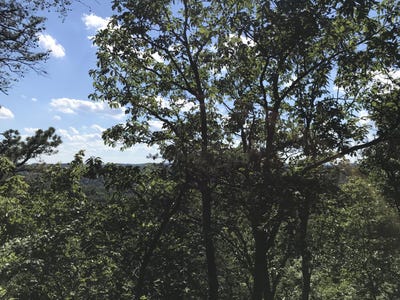 /international/us/south-fork-stanton-pa-110105462923/