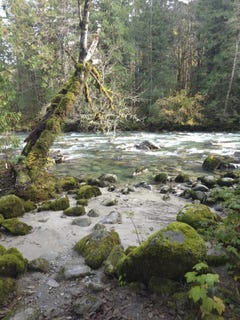 /international/us/63884-cascade-way-other-wa-110095893758/?lang=en