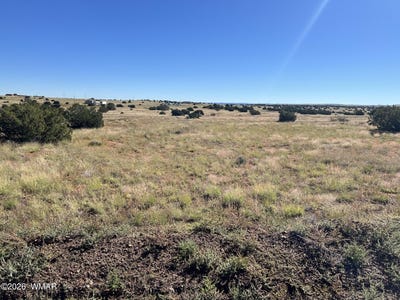 /international/us/079a-079b-circle-drive-concho-az-110120121006/