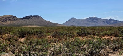 /international/us/lot-287-n-calle-del-prado-douglas-az-110100865732/?lang=en