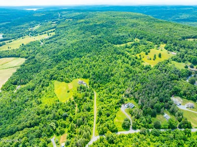 /international/us/l4-003-cass-hill-road-new-scotland-ny-110097685530/