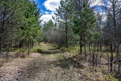 /international/us/lot-2-18th-street-necedah-wi-110106230181/