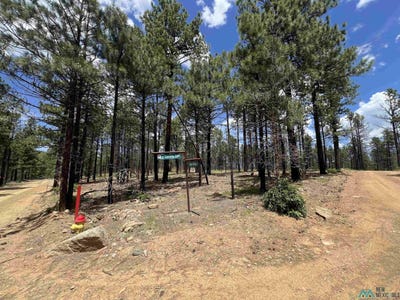 /international/us/154-calle-retiro-road-rociada-nm-110100309148/?lang=zh-tw