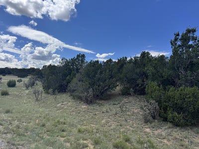 /international/us/54-las-colinas-road-edgewood-nm-110100743683/?lang=en