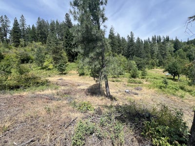 /international/us/1-tbd-mitchell-rd-northport-wa-110101128037/?lang=pt
