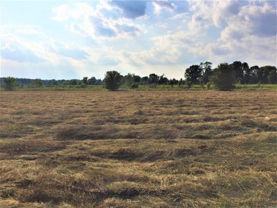 /international/us/mound-view-drive-lot-305-england-ar-110104512454/